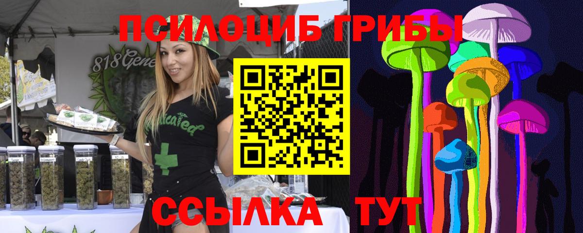 Галлюциногенные грибы MAGIC MUSHROOMS  Вход с VPN  Бутурлиновка 